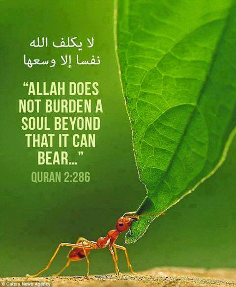Allah does not burden a soul with more than it can bear